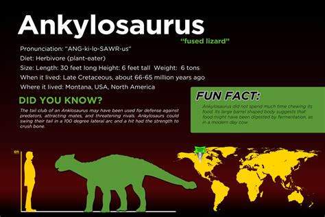 ankylosaurus fact sheet.